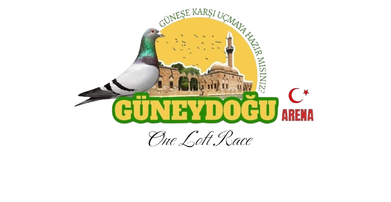 Güneydoğu Arena